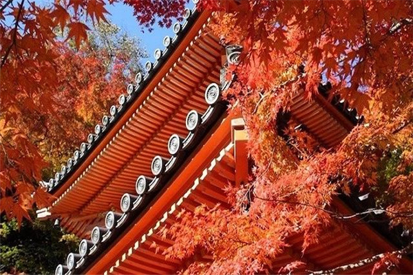 微信图片_20181017181514.jpg 微信图片_20181017181514.jpg